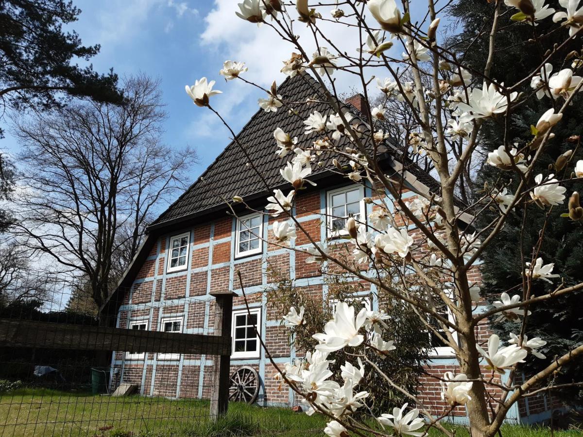 Apartment Schoenes Vor Den Toren Hamburgs - Keine Monteurwohnung Asendorf